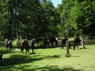 Wanderreiter in Unterklingensporn